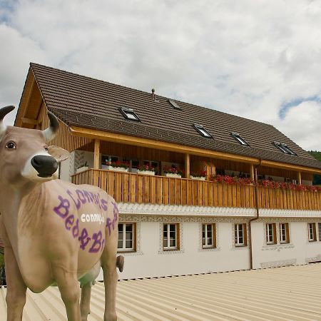 Conny'S B&B Niederweningen ภายนอก รูปภาพ