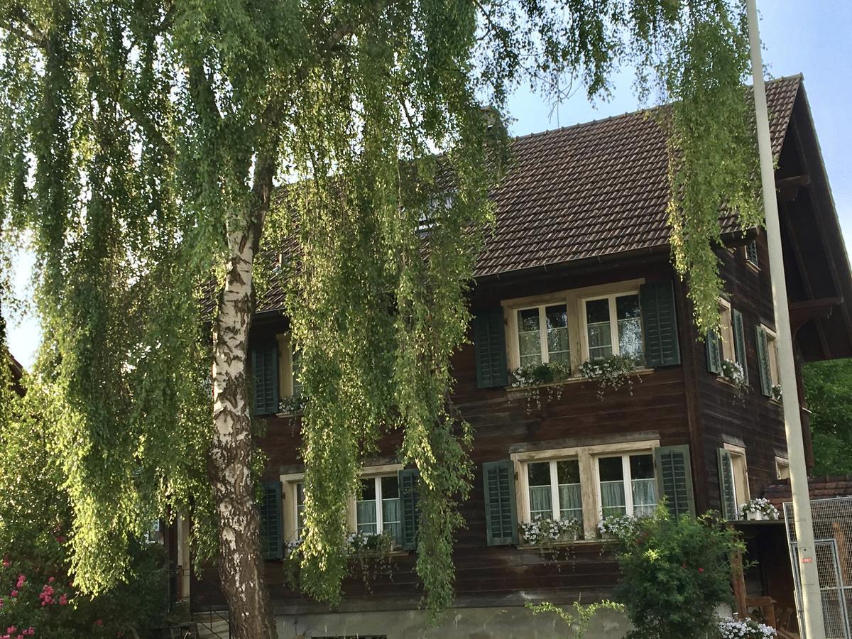Conny'S B&B Niederweningen ภายนอก รูปภาพ