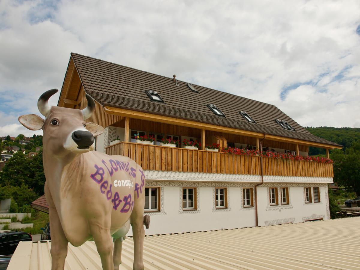 Conny'S B&B Niederweningen ภายนอก รูปภาพ