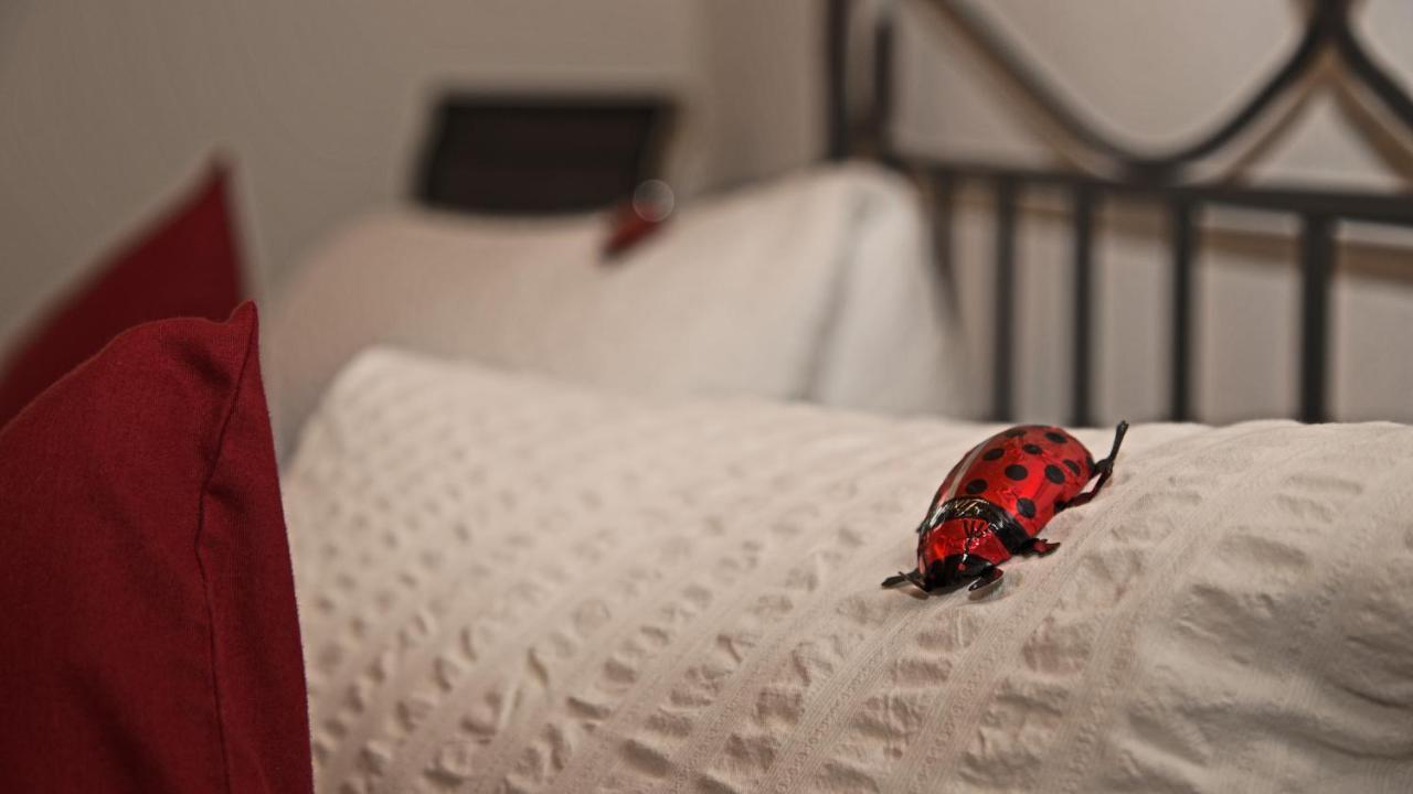 Conny'S B&B Niederweningen ภายนอก รูปภาพ